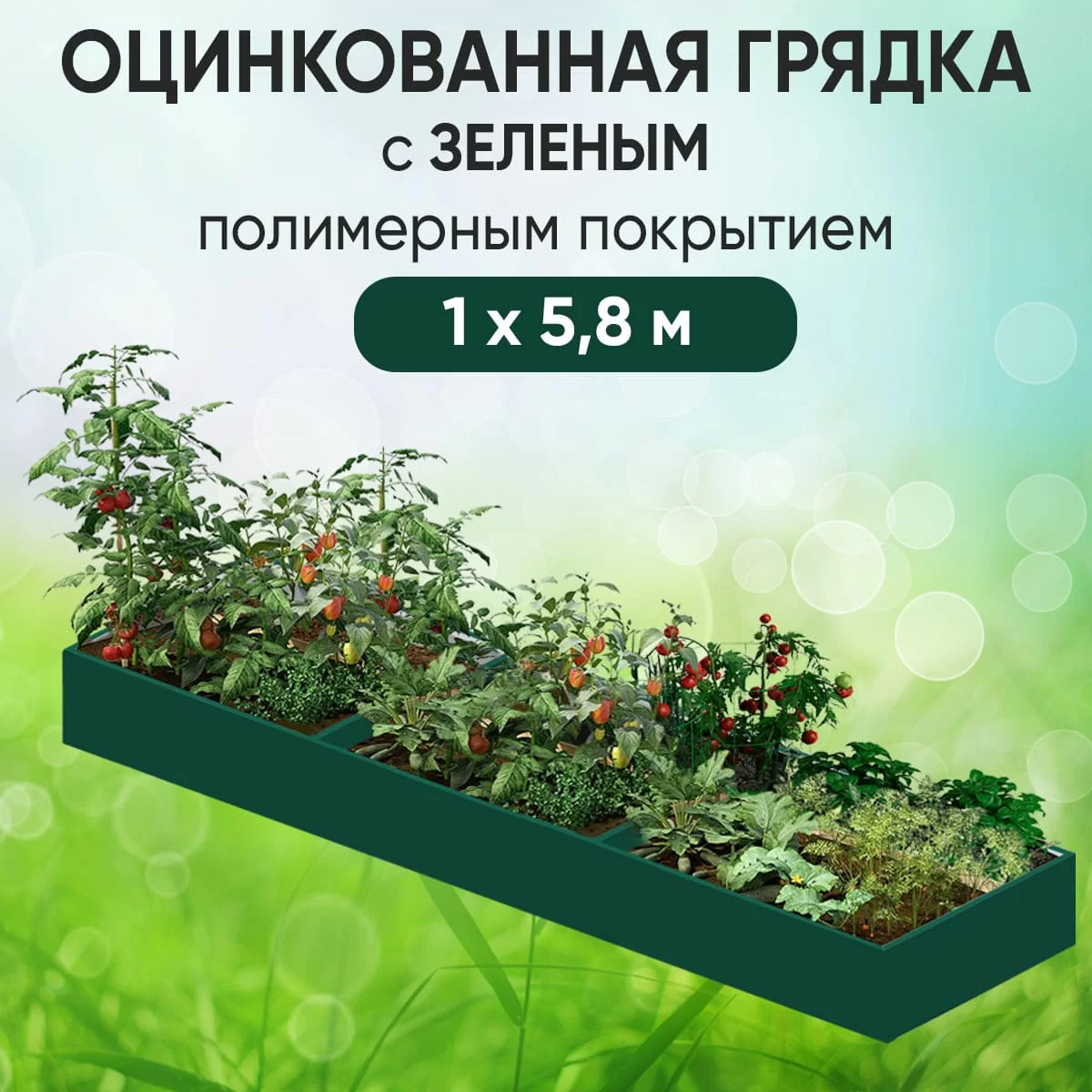 Грядка зеленая (1 х 5,8)