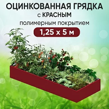 Грядка красная (1,25 х 5)