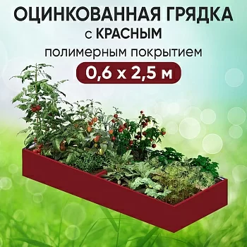 Грядка красная (0,6 х 2,5)